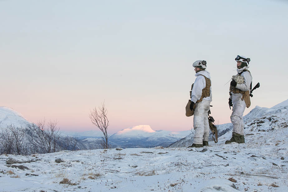 Soldat i vinterlandskap. Foto